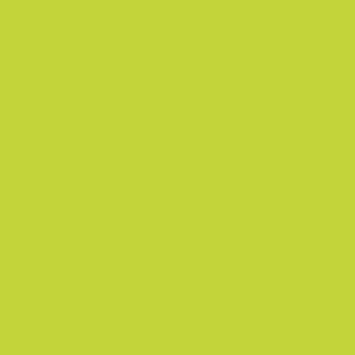 Light Green - 3914020