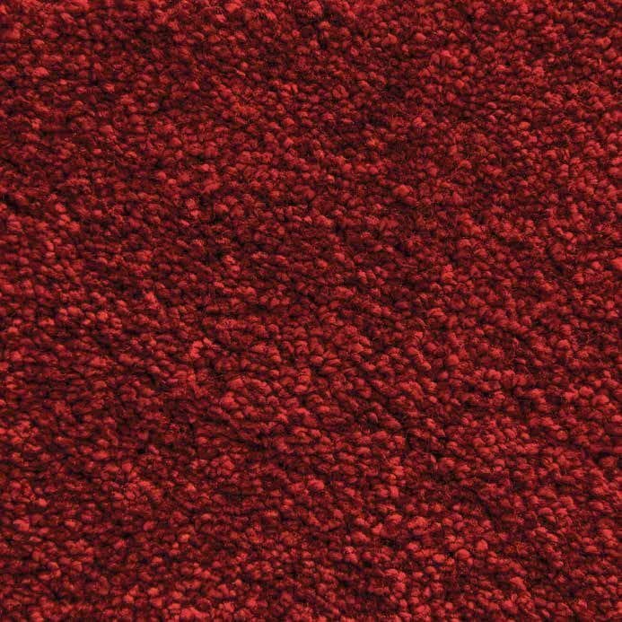 Berry-20